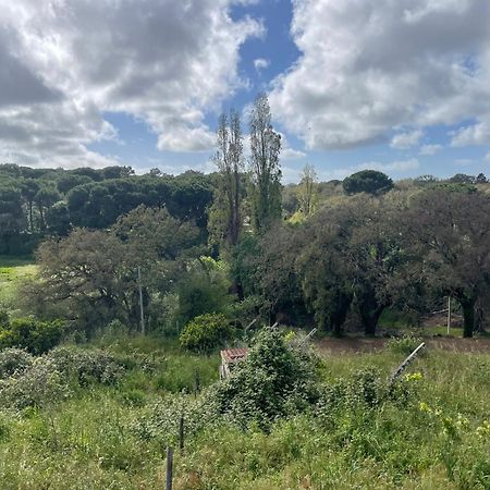 Quinta Dos Canais Setubal Bagian luar foto