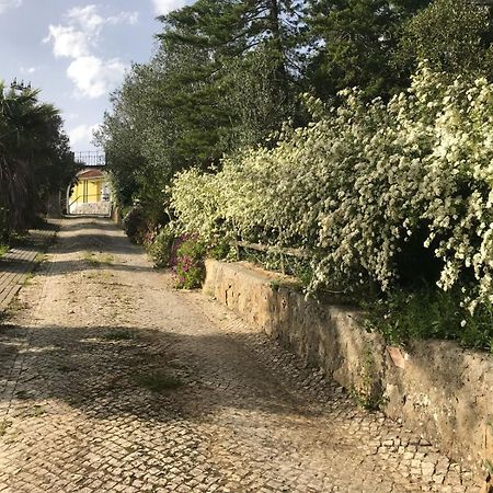 Quinta Dos Canais Setubal Bagian luar foto