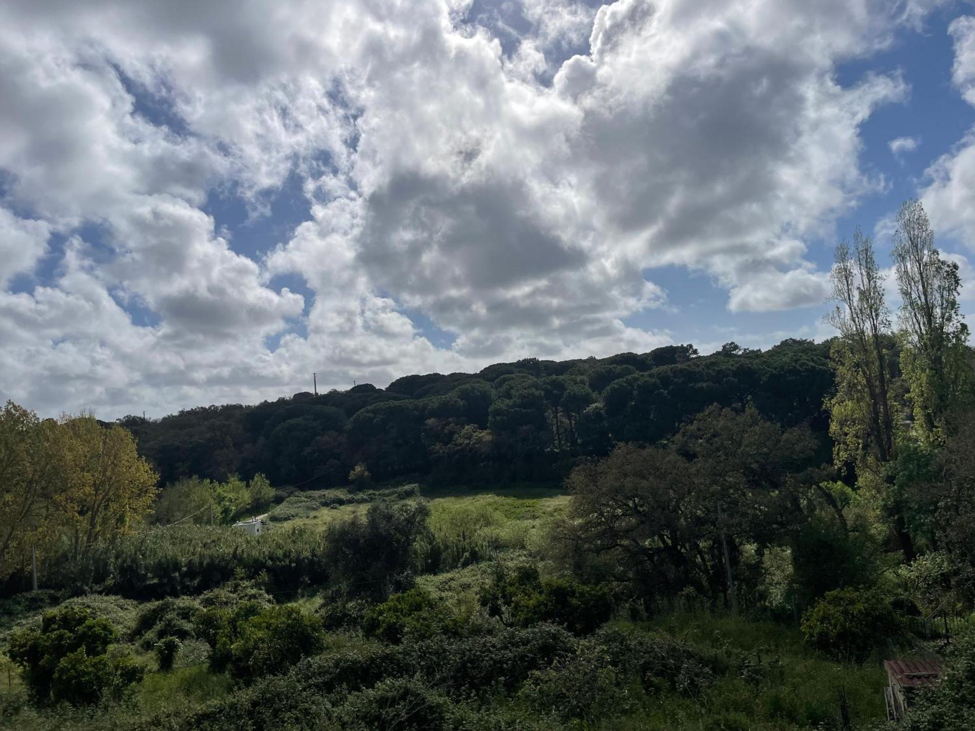Quinta Dos Canais Setubal Bagian luar foto