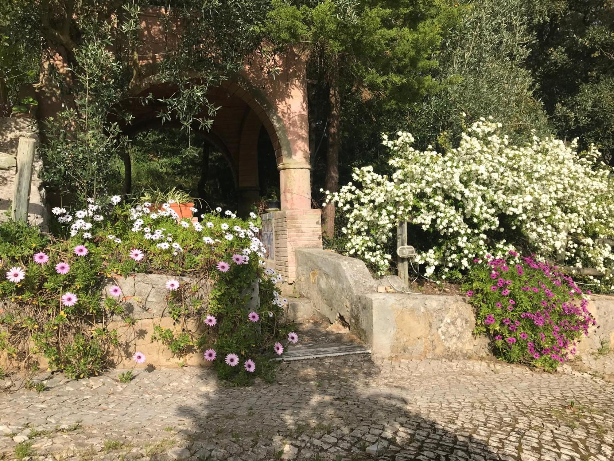 Quinta Dos Canais Setubal Bagian luar foto
