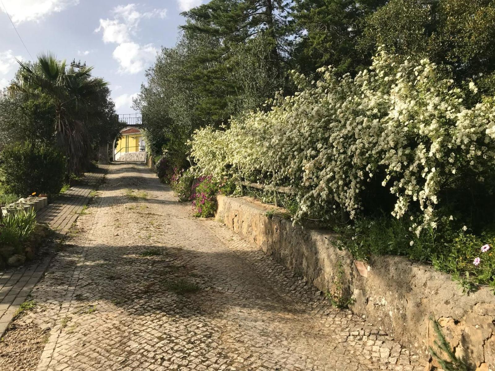 Quinta Dos Canais Setubal Bagian luar foto
