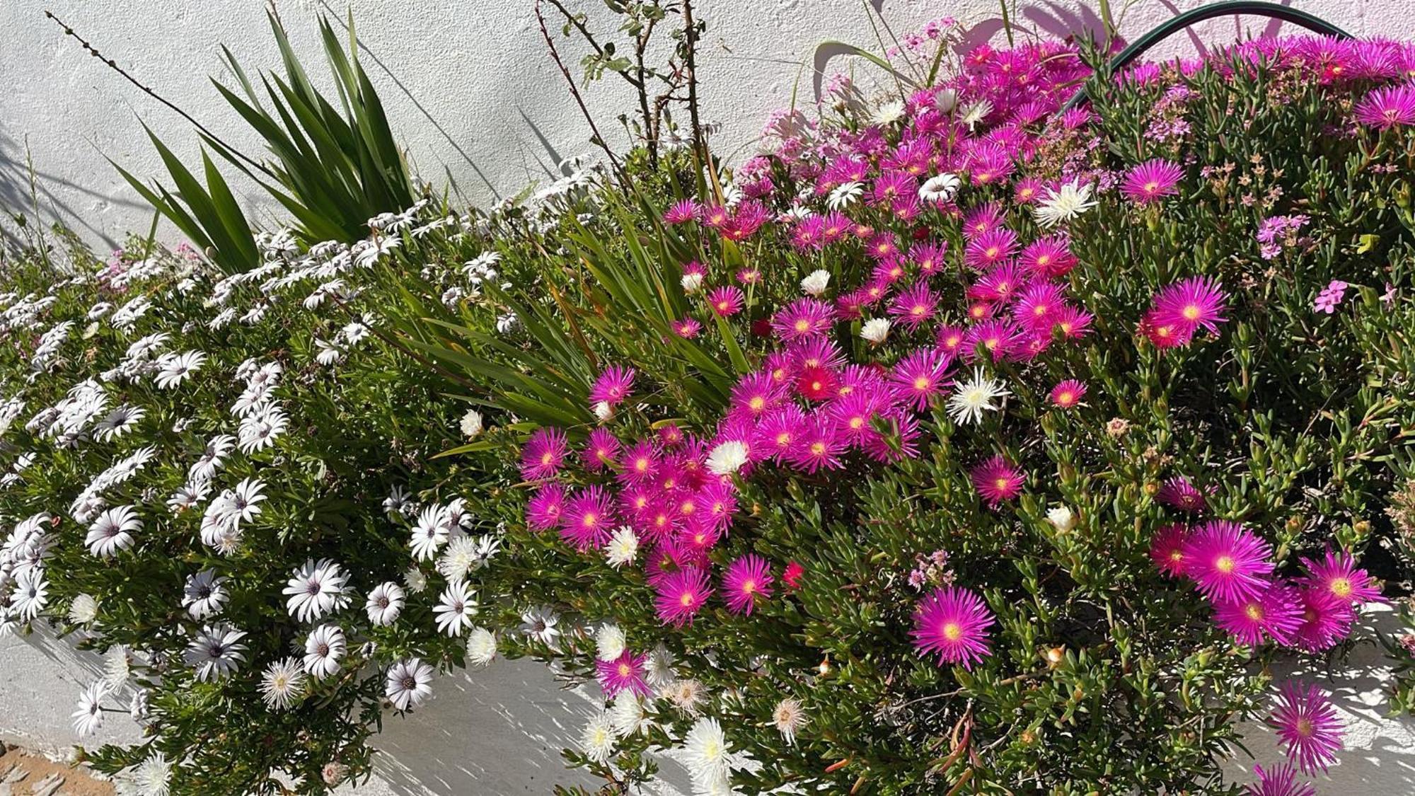Quinta Dos Canais Setubal Bagian luar foto