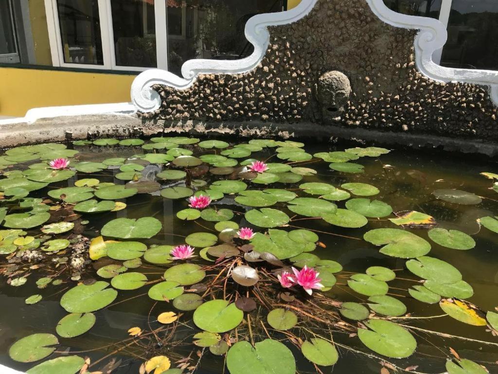 Quinta Dos Canais Setubal Bagian luar foto