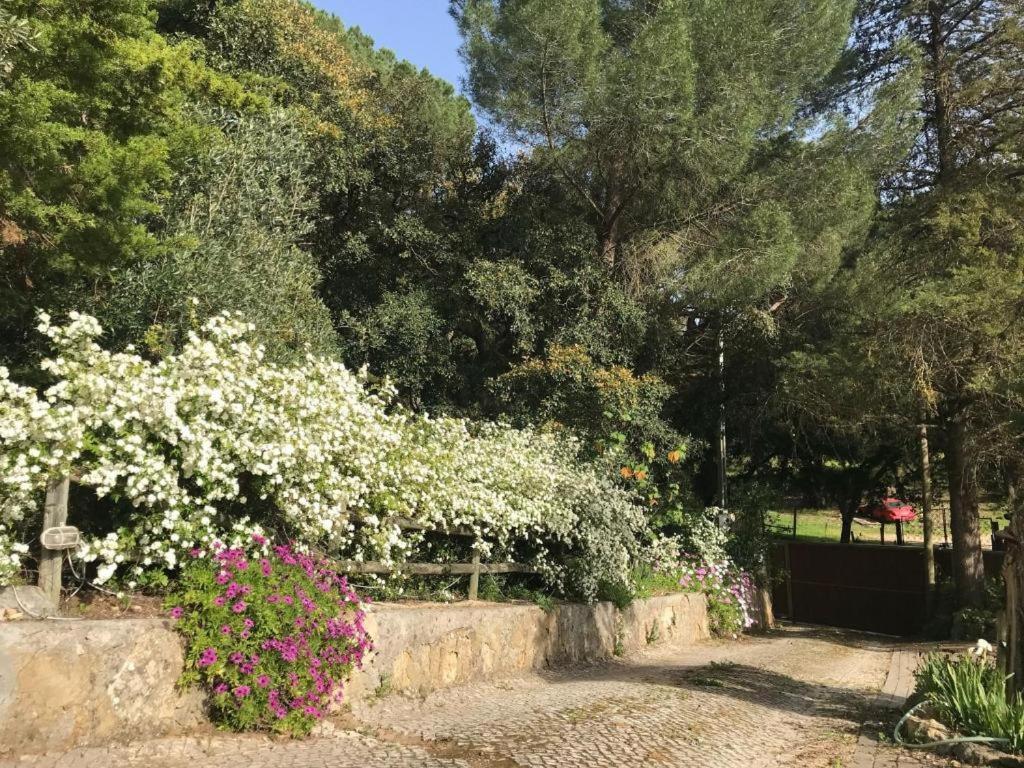 Quinta Dos Canais Setubal Bagian luar foto