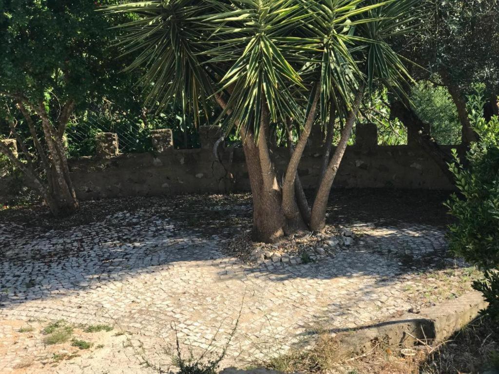 Quinta Dos Canais Setubal Bagian luar foto